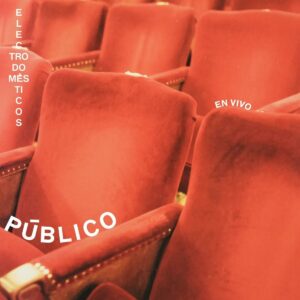 ELECTRODOMESTICOS - PUBLICO (2 LP)