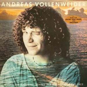 ANDREAS VOLLENWEIDER - …BEHIND THE GARDENS BEHIND THE WALL UNDER THE TREE.. (LP)