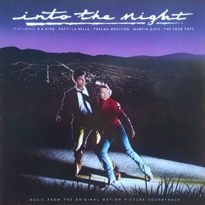 IN TO THE NIGHT - VARIOS ARTISTAS (LP)