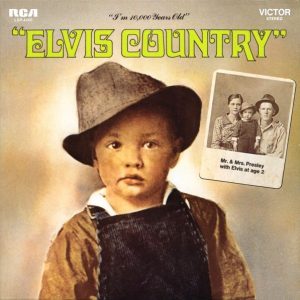 ELVIS PRESLEY - ELVIS COUNTRY (LP)